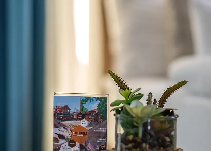 Medora Park - Medora*** Hotel