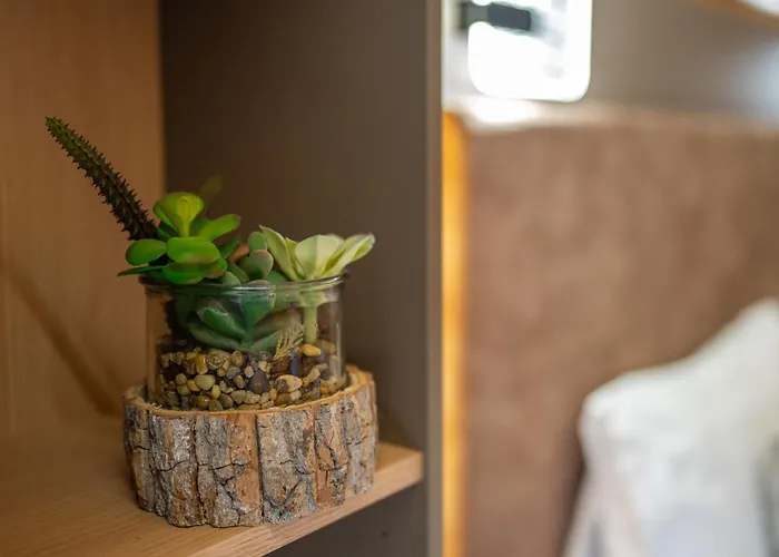 Medora Park - Medora*** 3* Gárdony